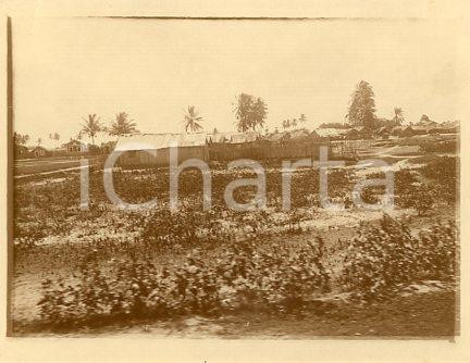 1925 ca BRASILE RIO DE JANEIRO Veduta di un sobborgo *Foto 12x9 cm (1) Fotografia originale d'epoca.La fotografia proviene da un più vasto album che documenta i viaggi di una famiglia attraverso l'Europa, il Nord Africa e il Sud America.Rappresenta un'interessante testimonianza di viaggi verso luoghi esotici e lontani o verso i principali monumenti dell'Europa dell'epoca. POOR/danneggiato piccolo strappo al lato superiore Formato: 12x9 cm originale e autentica 1