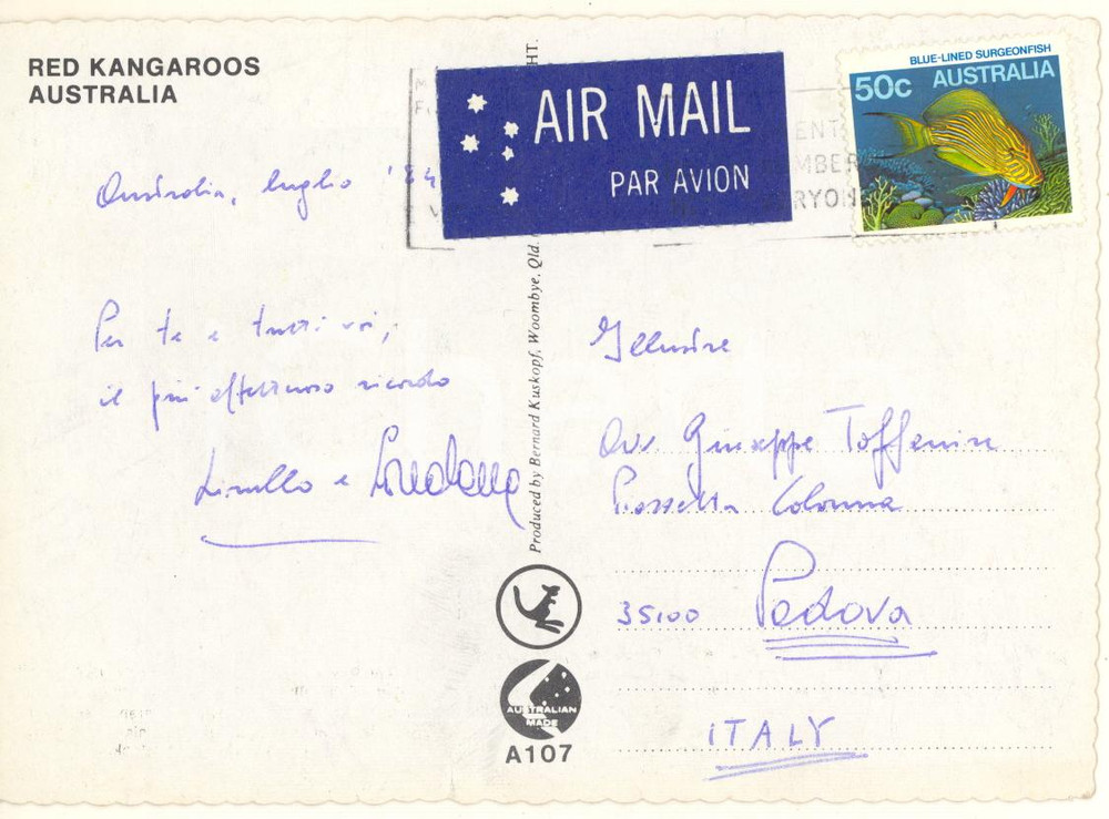 1984 AUSTRALIA Autografo di Lionello PUPPI - Cartolina FG VG Cartolina originale, viaggiata, con messaggio autografo.   GOOD/buono  Formato: 15x10 cm originale e autentica 1