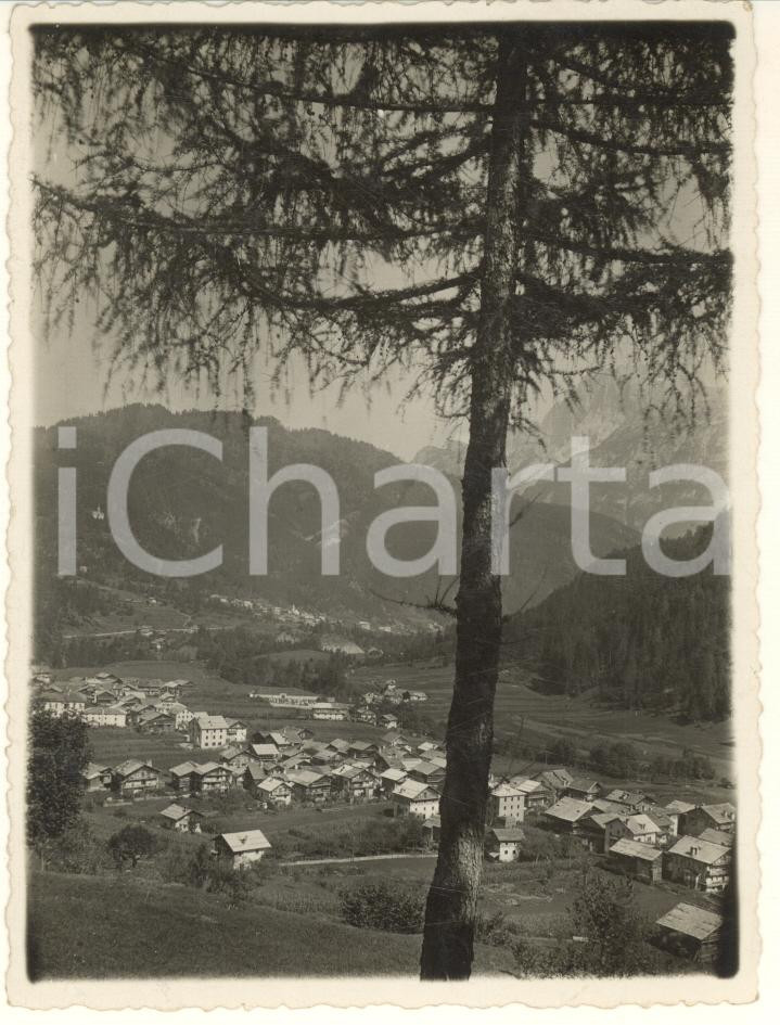 1960 ca CANALE D'AGORDO (BL) Veduta del paese - Val Bios *Foto 9x12 cm Fotografia originale d'epoca, con didascalia al verso. GOOD/buono  Formato: 9x12 cm originale e autentica 1