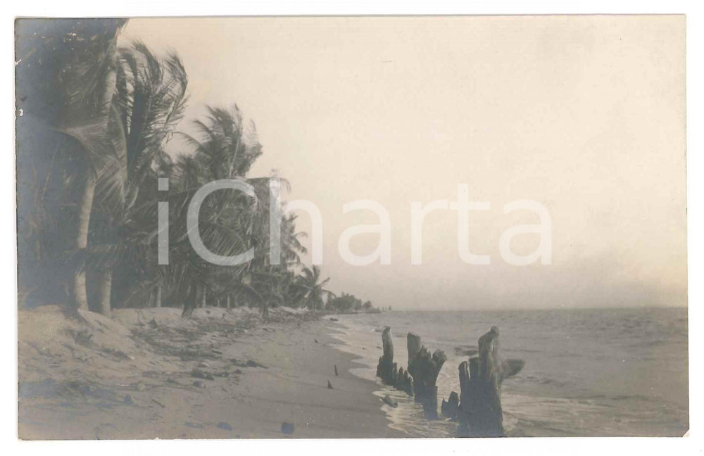 1930 C. ZAGOURSKI (?) AFRIQUE - CONGO BELGE - Paysage (3) Postcard  Fotocartolina postale d'epoca, attibuita al fotografo Casimir Zagourski.CONDIZIONI: G (lieve sbrecciatura all'angolo inferiore destro)FORMATO: 9x14 cm    originale e autentica 1