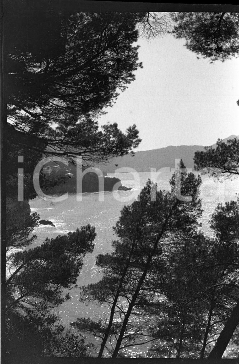 1925 RAPALLO Panorama del Golfo del Tigullio NEGATIVO ORIGINALE   Negativo originale in bianco e nero, in formato cm 6 x 9 CONDIZIONI: GOOD ICharta mette in vendita, sul negozio eBay e in esclusiva sul sito "icharta" il proprio archivio composto da numerose diapositive e negativi fotografici d'epoca, tutti originali e autentici, che attraversano la storia del costume italiano tra gli la fine degli anni Sessanta e Novanta.Si tratta di uno sguardo inedito sull'attualit&agrave;, la politica, la vita quotidiana, il gossip e la cultura, che fotografa il cambiamento della nazione in quest'ultimo scorcio del XX secolo. Un'occasione unica per il mercato del collezionismo, che vede finalmente disponibile un archivio eccezionale per vastit&agrave;, tematiche e condizioni, in un settore (il negativo fotografico e la diapositiva) di assoluta novit&agrave; e dalle interessanti prospettive di investimento. FAIR/discreto   originale e autentica 1