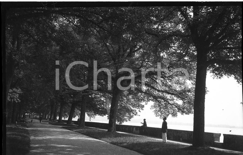 1932 GINEVRA Viale alberato sul lungolago  NEGATIVO ORIGINALE  Negativo originale in bianco e nero, in formato cm 6 x 9 CONDIZIONI: FAIR ICharta mette in vendita, sul negozio eBay e in esclusiva sul sito "icharta" il proprio archivio composto da numerose diapositive e negativi fotografici d'epoca, tutti originali e autentici, che attraversano la storia del costume italiano tra gli la fine degli anni Sessanta e Novanta.Si tratta di uno sguardo inedito sull'attualità, la politica, la vita quotidiana, il gossip e la cultura, che fotografa il cambiamento della nazione in quest'ultimo scorcio del XX secolo. Un'occasione unica per il mercato del collezionismo, che vede finalmente disponibile un archivio eccezionale per vastità, tematiche e condizioni, in un settore (il negativo fotografico e la diapositiva) di assoluta novità e dalle interessanti prospettive di investimento. FAIR/discreto   originale e autentica 1