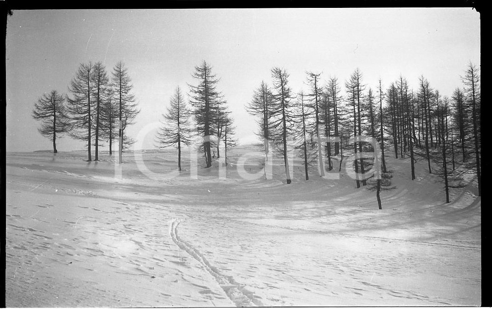 1935 PIEMONTE PRA' CATINAT Paesaggio invernale NEGATIVO ORIGINALE  Negativo originale in bianco e nero (su pellicola), in formato cm 6 x 9 CONDIZIONI: FAIR ICharta mette in vendita, sul negozio eBay e in esclusiva sul sito "icharta" il proprio archivio composto da numerose diapositive e negativi fotografici d'epoca, tutti originali e autentici, che attraversano la storia del costume italiano tra gli la fine degli anni Sessanta e Novanta.Si tratta di uno sguardo inedito sull'attualità, la politica, la vita quotidiana, il gossip e la cultura, che fotografa il cambiamento della nazione in quest'ultimo scorcio del XX secolo. Un'occasione unica per il mercato del collezionismo, che vede finalmente disponibile un archivio eccezionale per vastità, tematiche e condizioni, in un settore (il negativo fotografico e la diapositiva) di assoluta novità e dalle interessanti prospettive di investimento. FAIR/discreto   originale e autentica 1