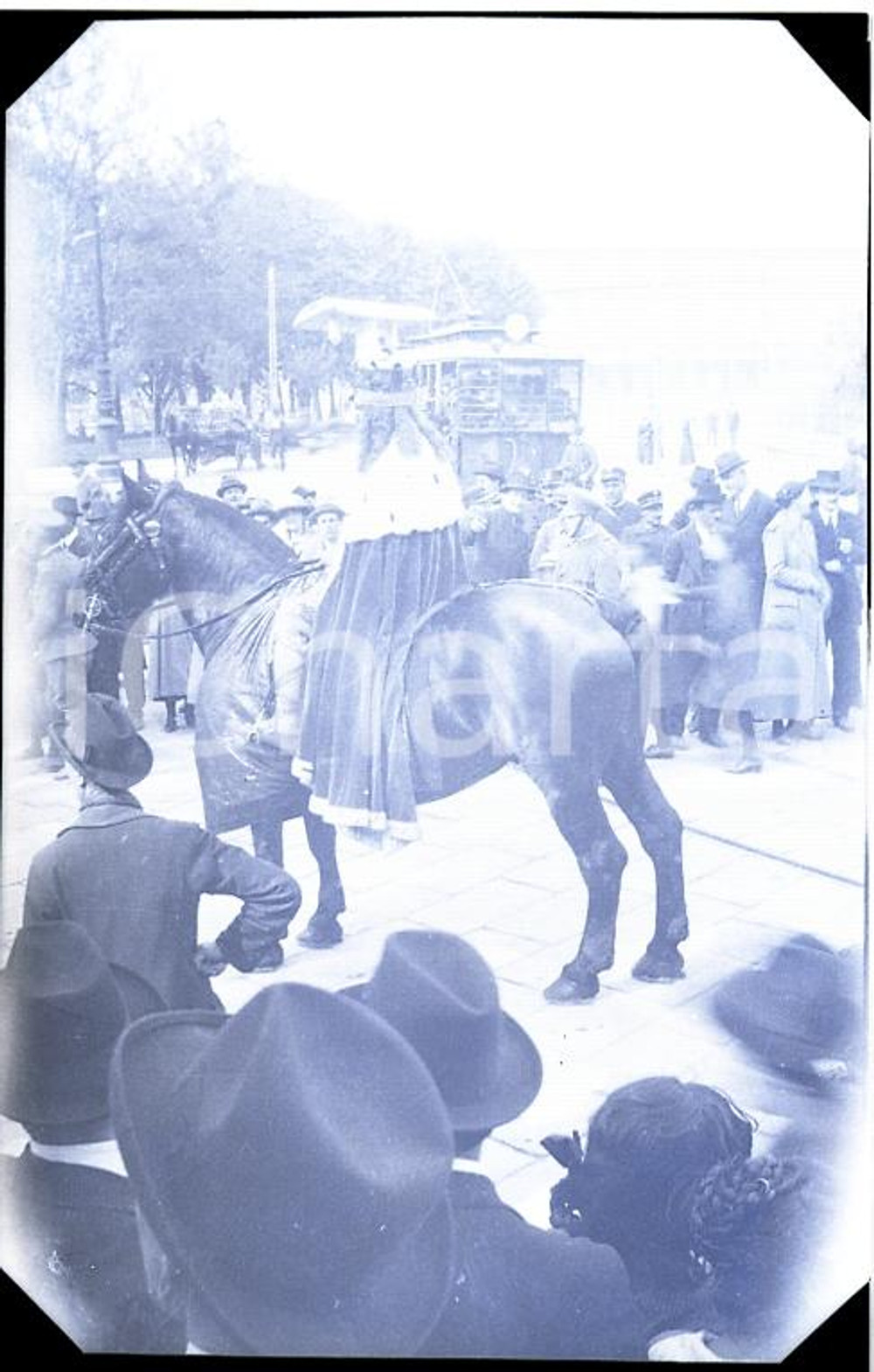 Fotografia d epoca originale 1915ca MILANO Cavallo con figurante, carnevale NEGATIVO ORIGINALE 1