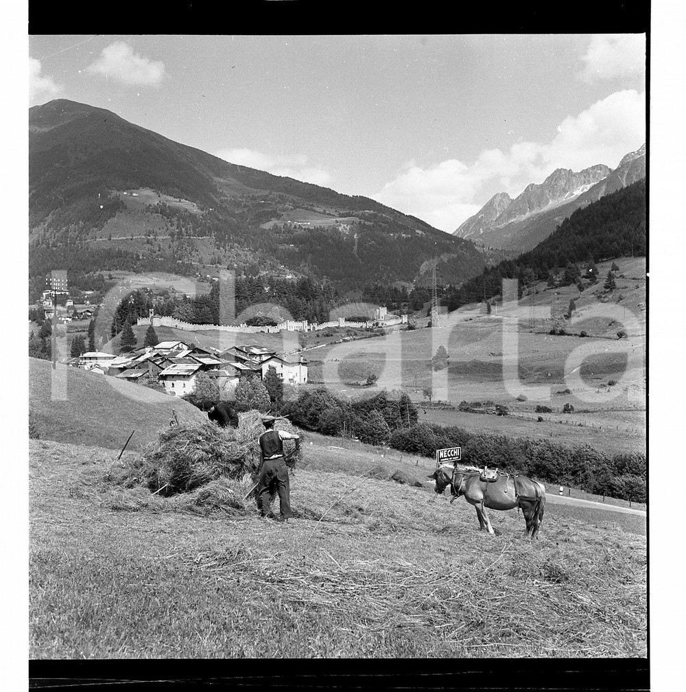 1954 PONTE DI LEGNO (BS) La fienagione NEGATIVO ORIGINALE ARTISTICO   Negativo originale artistico in bianco e nero, su pellicola, in formato cm 6 x 6 CONDIZIONI: FAIR ICharta mette in vendita, sul negozio eBay e in esclusiva sul sito "icharta" il proprio archivio composto da numerose diapositive e negativi fotografici d'epoca, tutti originali e autentici, che attraversano la storia del costume italiano tra gli la fine degli anni Sessanta e Novanta.Si tratta di uno sguardo inedito sull'attualità, la politica, la vita quotidiana, il gossip e la cultura, che fotografa il cambiamento della nazione in quest'ultimo scorcio del XX secolo. Un'occasione unica per il mercato del collezionismo, che vede finalmente disponibile un archivio eccezionale per vastità, tematiche e condizioni, in un settore (il negativo fotografico e la diapositiva) di assoluta novità e dalle interessanti prospettive di investimento. CONDIZIONI:FAIR/discreto originale e autentica 1