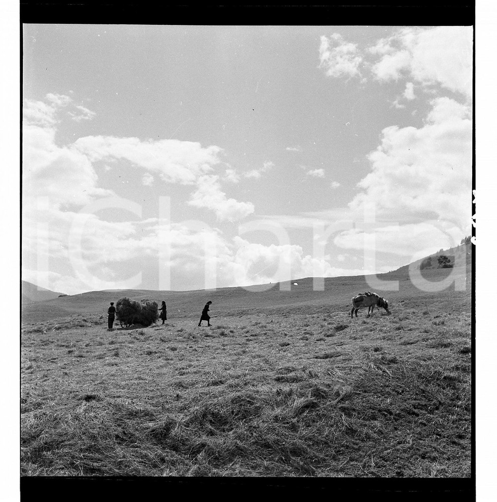 1954 PONTE DI LEGNO (BS) Carro del fieno pronto per traino NEGATIVO ORIGINALE   Negativo originale artistico in bianco e nero, su pellicola, in formato cm 6 x 6 CONDIZIONI: FAIR ICharta mette in vendita, sul negozio eBay e in esclusiva sul sito "icharta" il proprio archivio composto da numerose diapositive e negativi fotografici d'epoca, tutti originali e autentici, che attraversano la storia del costume italiano tra gli la fine degli anni Sessanta e Novanta.Si tratta di uno sguardo inedito sull'attualità, la politica, la vita quotidiana, il gossip e la cultura, che fotografa il cambiamento della nazione in quest'ultimo scorcio del XX secolo. Un'occasione unica per il mercato del collezionismo, che vede finalmente disponibile un archivio eccezionale per vastità, tematiche e condizioni, in un settore (il negativo fotografico e la diapositiva) di assoluta novità e dalle interessanti prospettive di investimento. CONDIZIONI:FAIR/discreto originale e autentica 1