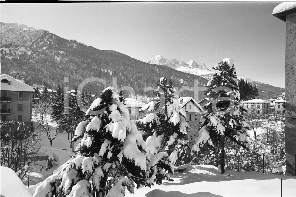 1955 PONTE DI LEGNO (BS) Alberi carichi dopo nevicata NEGATIVO ORIGINALE   Negativo originale artistico in bianco e nero, su pellicola, in formato cm 9 x 6 CONDIZIONI: FAIR ICharta mette in vendita, sul negozio eBay e in esclusiva sul sito "icharta" il proprio archivio composto da numerose diapositive e negativi fotografici d'epoca, tutti originali e autentici, che attraversano la storia del costume italiano tra gli la fine degli anni Sessanta e Novanta.Si tratta di uno sguardo inedito sull'attualità, la politica, la vita quotidiana, il gossip e la cultura, che fotografa il cambiamento della nazione in quest'ultimo scorcio del XX secolo. Un'occasione unica per il mercato del collezionismo, che vede finalmente disponibile un archivio eccezionale per vastità, tematiche e condizioni, in un settore (il negativo fotografico e la diapositiva) di assoluta novità e dalle interessanti prospettive di investimento. CONDIZIONI:FAIR/discreto originale e autentica 1