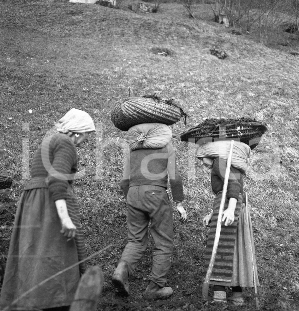 1954 TEMÙ (BS) Contadini con "bastarel" di letame sulla testa NEGATIVO ORIGINALE Negativo originale artistico in bianco e nero, su pellicola, in formato cm 6 x 6 CONDIZIONI: FAIR ICharta mette in vendita, sul negozio eBay e in esclusiva sul sito "icharta" il proprio archivio composto da numerose diapositive e negativi fotografici d'epoca, tutti originali e autentici, che attraversano la storia del costume italiano tra gli la fine degli anni Sessanta e Novanta.Si tratta di uno sguardo inedito sull'attualità, la politica, la vita quotidiana, il gossip e la cultura, che fotografa il cambiamento della nazione in quest'ultimo scorcio del XX secolo. Un'occasione unica per il mercato del collezionismo, che vede finalmente disponibile un archivio eccezionale per vastità, tematiche e condizioni, in un settore (il negativo fotografico e la diapositiva) di assoluta novità e dalle interessanti prospettive di investimento. CONDIZIONI:FAIR/discreto originale e autentica 1