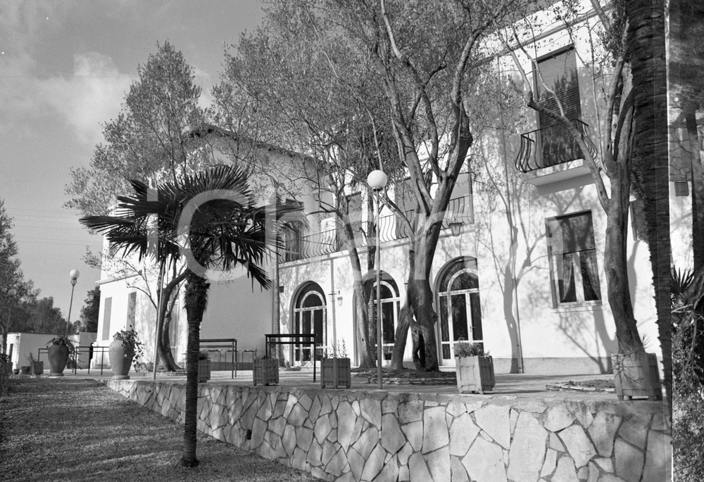 1955 SIRMIONE (BS) Hotel ULIVI il giardino tra gli ulivi NEGATIVO ORIGINALE Negativo originale artistico in bianco e nero, su pellicola, in formato cm 9 x 6 CONDIZIONI: FAIR ICharta mette in vendita, sul negozio eBay e in esclusiva sul sito "icharta" il proprio archivio composto da numerose diapositive e negativi fotografici d'epoca, tutti originali e autentici, che attraversano la storia del costume italiano tra gli la fine degli anni Sessanta e Novanta.Si tratta di uno sguardo inedito sull'attualità, la politica, la vita quotidiana, il gossip e la cultura, che fotografa il cambiamento della nazione in quest'ultimo scorcio del XX secolo. Un'occasione unica per il mercato del collezionismo, che vede finalmente disponibile un archivio eccezionale per vastità, tematiche e condizioni, in un settore (il negativo fotografico e la diapositiva) di assoluta novità e dalle interessanti prospettive di investimento. CONDIZIONI:FAIR/discreto originale e autentica 1