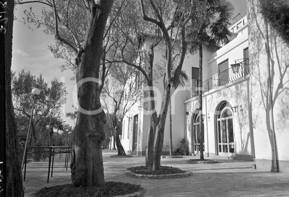 1955 SIRMIONE (BS) Hotel ULIVI il giardino tra gli ulivi (3) NEGATIVO ORIGINALE Negativo originale artistico in bianco e nero, su pellicola, in formato cm 9 x 6 CONDIZIONI: FAIR ICharta mette in vendita, sul negozio eBay e in esclusiva sul sito "icharta" il proprio archivio composto da numerose diapositive e negativi fotografici d'epoca, tutti originali e autentici, che attraversano la storia del costume italiano tra gli la fine degli anni Sessanta e Novanta.Si tratta di uno sguardo inedito sull'attualità, la politica, la vita quotidiana, il gossip e la cultura, che fotografa il cambiamento della nazione in quest'ultimo scorcio del XX secolo. Un'occasione unica per il mercato del collezionismo, che vede finalmente disponibile un archivio eccezionale per vastità, tematiche e condizioni, in un settore (il negativo fotografico e la diapositiva) di assoluta novità e dalle interessanti prospettive di investimento. CONDIZIONI:FAIR/discreto originale e autentica 1