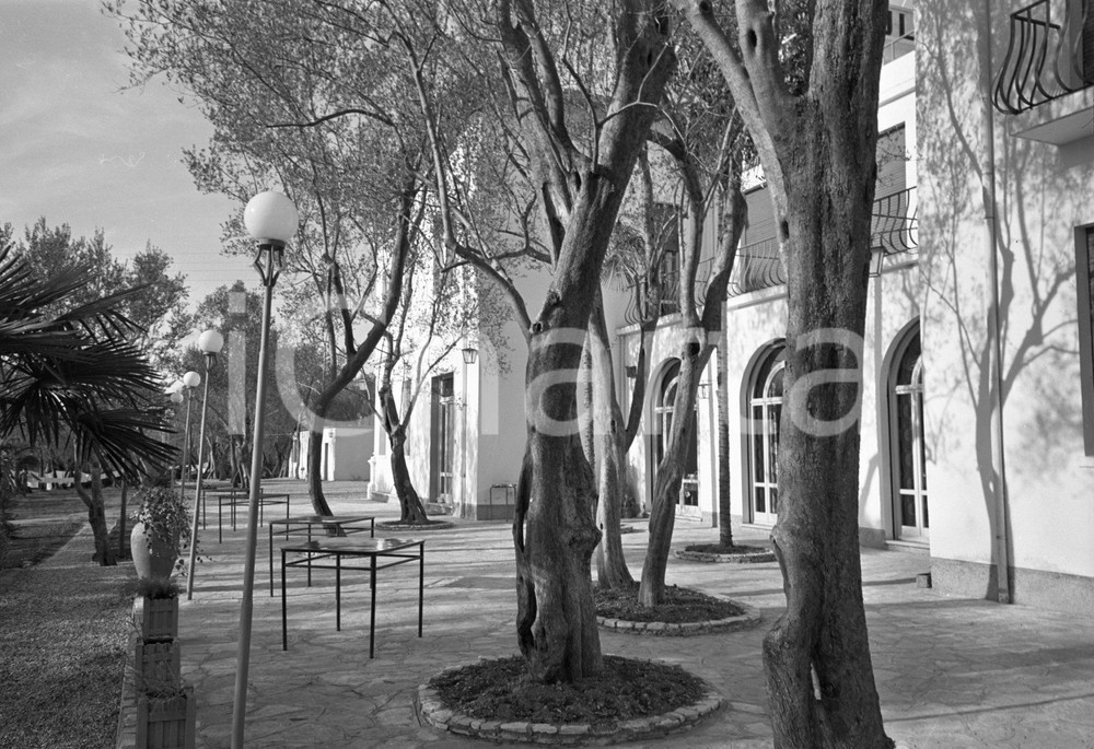 1955 SIRMIONE (BS) Hotel ULIVI il giardino tra gli ulivi (4) NEGATIVO ORIGINALE Negativo originale artistico in bianco e nero, su pellicola, in formato cm 9 x 6 CONDIZIONI: FAIR ICharta mette in vendita, sul negozio eBay e in esclusiva sul sito "icharta" il proprio archivio composto da numerose diapositive e negativi fotografici d'epoca, tutti originali e autentici, che attraversano la storia del costume italiano tra gli la fine degli anni Sessanta e Novanta.Si tratta di uno sguardo inedito sull'attualità, la politica, la vita quotidiana, il gossip e la cultura, che fotografa il cambiamento della nazione in quest'ultimo scorcio del XX secolo. Un'occasione unica per il mercato del collezionismo, che vede finalmente disponibile un archivio eccezionale per vastità, tematiche e condizioni, in un settore (il negativo fotografico e la diapositiva) di assoluta novità e dalle interessanti prospettive di investimento. CONDIZIONI:FAIR/discreto originale e autentica 1