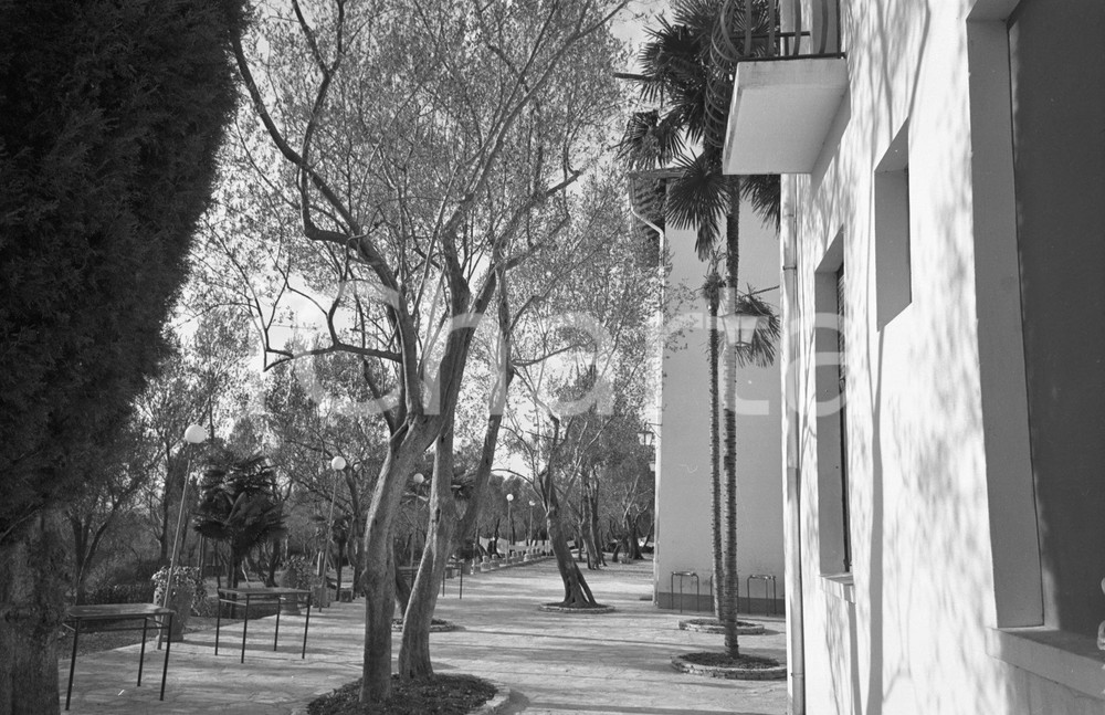 1955 SIRMIONE (BS) Hotel ULIVI il giardino tra gli ulivi (2) NEGATIVO ORIGINALE Negativo originale artistico in bianco e nero, su pellicola, in formato cm 9 x 6 CONDIZIONI: FAIR ICharta mette in vendita, sul negozio eBay e in esclusiva sul sito "icharta" il proprio archivio composto da numerose diapositive e negativi fotografici d'epoca, tutti originali e autentici, che attraversano la storia del costume italiano tra gli la fine degli anni Sessanta e Novanta.Si tratta di uno sguardo inedito sull'attualità, la politica, la vita quotidiana, il gossip e la cultura, che fotografa il cambiamento della nazione in quest'ultimo scorcio del XX secolo. Un'occasione unica per il mercato del collezionismo, che vede finalmente disponibile un archivio eccezionale per vastità, tematiche e condizioni, in un settore (il negativo fotografico e la diapositiva) di assoluta novità e dalle interessanti prospettive di investimento. CONDIZIONI:FAIR/discreto originale e autentica 1
