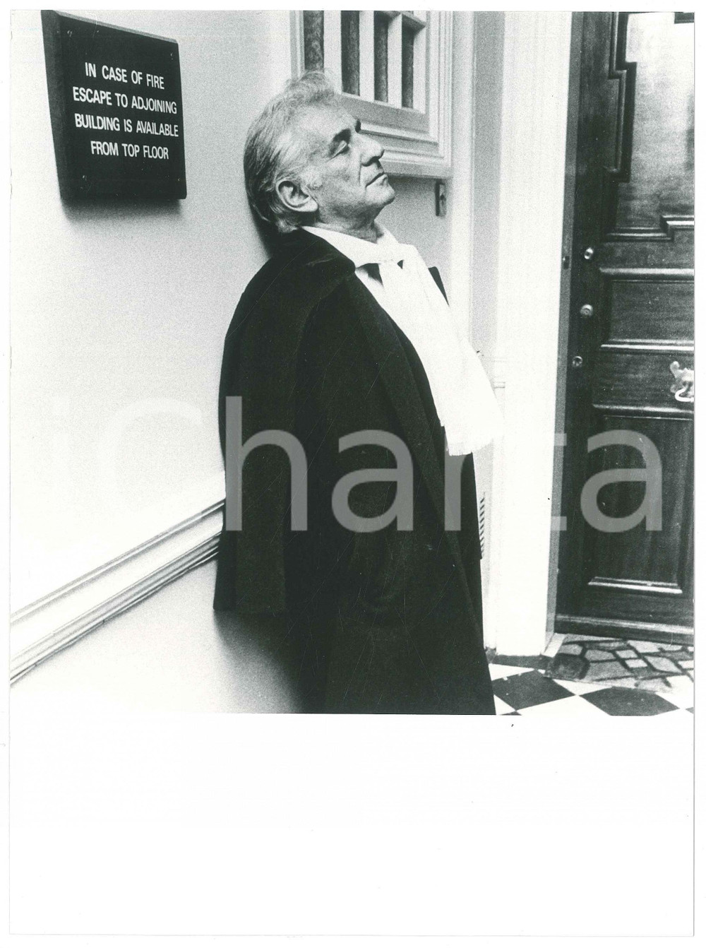Fotografia d epoca originale 1977 MUSICA CLASSICA Leonard BERNSTEIN  Photo 17x24 cm 1