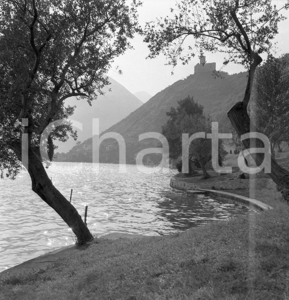 1954 SENSOLE loc. PESCHIERA MARAGLIO BS Scorcio del lago Iseo NEGATIVO ORIGINALE Negativo originale artistico in bianco e nero, su pellicola, in formato cm 6 x 6 CONDIZIONI: POOR (presenza di alone come da scansione) ICharta mette in vendita, sul negozio eBay e in esclusiva sul sito "icharta" il proprio archivio composto da numerose diapositive e negativi fotografici d'epoca, tutti originali e autentici, che attraversano la storia del costume italiano tra gli la fine degli anni Sessanta e Novanta.Si tratta di uno sguardo inedito sull'attualità, la politica, la vita quotidiana, il gossip e la cultura, che fotografa il cambiamento della nazione in quest'ultimo scorcio del XX secolo. Un'occasione unica per il mercato del collezionismo, che vede finalmente disponibile un archivio eccezionale per vastità, tematiche e condizioni, in un settore (il negativo fotografico e la diapositiva) di assoluta novità e dalle interessanti prospettive di investimento. CONDIZIONI:POOR/danneggiato originale e autentica 1