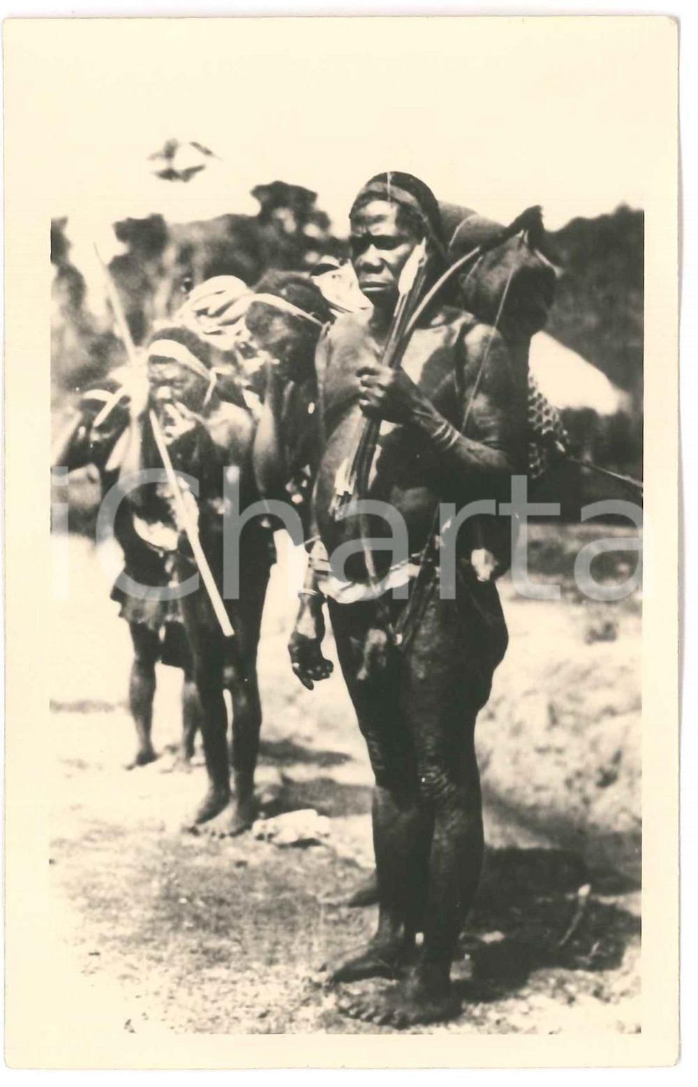 1930 ca ZAGOURSKI «L'Afrique qui disparaît» CONGO BELGE Homme Ituri n.77  Fotocartolina postale d'epoca, appartenente alla serie &laquo;L'Afrique qui dispara&icirc;t&raquo; del fotografo Casimir Zagourski (L&eacute;opoldville).N&deg; 77, non viaggiata.CONDIZIONI: GFORMATO: 9x14 cm    originale e autentica 1
