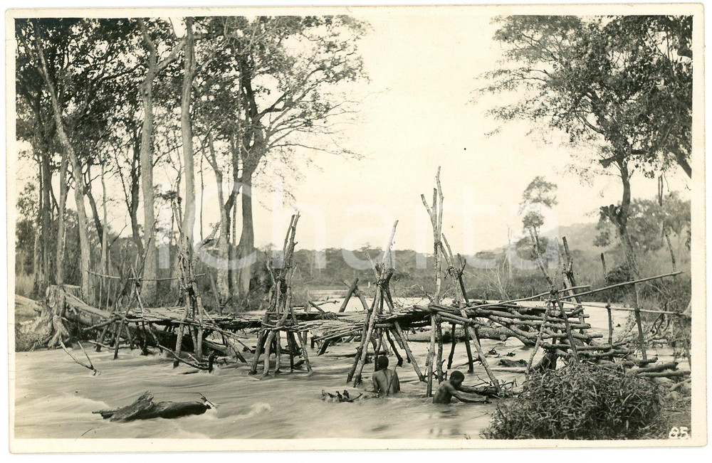 1930 ca CONGO BELGE - KATANGA Pont branches sur la LUFVIA Photo L. GABRIEL 85 2 Fotografia originale d'epoca, con timbro del fotografo al verso.FOTOGRAFO: L&eacute;opold Gabriel - Panda - Katanga  GOOD/buono  Formato: 14x9 cm originale e autentica 1