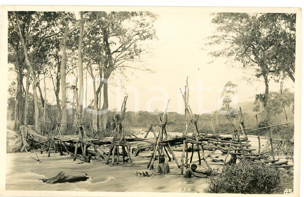1930 ca CONGO BELGE - KATANGA Pont branches sur la LUFVIA Photo L. GABRIEL 85 3 Fotografia originale d'epoca, in formato cartolina postale.FOTOGRAFO: L&eacute;opold Gabriel - Panda - Katanga  GOOD/buono  Formato: 14x9 cm originale e autentica 1