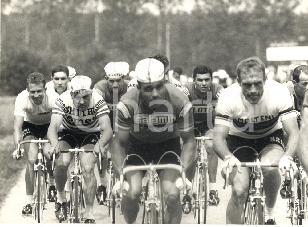1967 CICLISMO GIRO D'ITALIA Gianni MOTTA e Rudi ALTIG nel gruppo ^Foto 18x13 Fotografia d'epoca con didascalia coeva al verso. CONDIZIONI: G FORMATO: 18x13 cm     originale e autentica 1