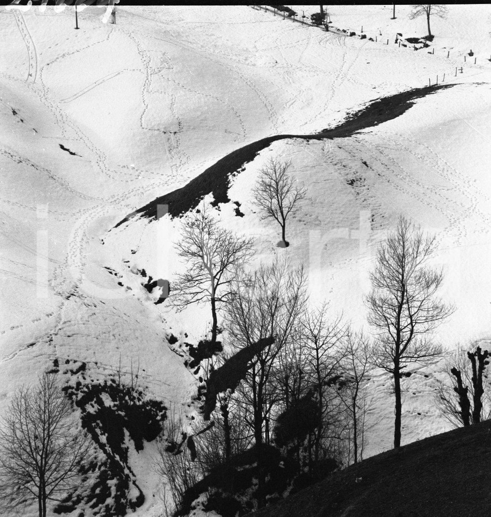 1964 ODENO Val Sabbia (BS) orme sulla neve NEGATIVO ORIGINALE Negativo originale in bianco e nero su pellicola.  E' SEVERAMENTE VIETATA LA RIPRODUZIONE.TUTTI I DIRITTI SONO RISERVATI.ICharta mette in vendita, sul negozio eBay e in esclusiva sul sito "icharta" il proprio archivio composto da numerose diapositive e negativi fotografici d'epoca, tutti originali e autentici.Si tratta di uno sguardo inedito sull'attualità, la politica, la vita quotidiana, il gossip e la cultura, che fotografa il cambiamento della nazione (e non solo) tra il 1890 ed il 1990 circa. Un'occasione unica per il mercato del collezionismo, che vede finalmente disponibile un archivio eccezionale per vastità, tematiche e condizioni, in un settore (il negativo fotografico e la diapositiva) di assoluta novità e dalle interessanti prospettive di investimento. CONDIZIONI:FAIR/discretoFORMATO: cm 6 x 6 originale e autentica 1