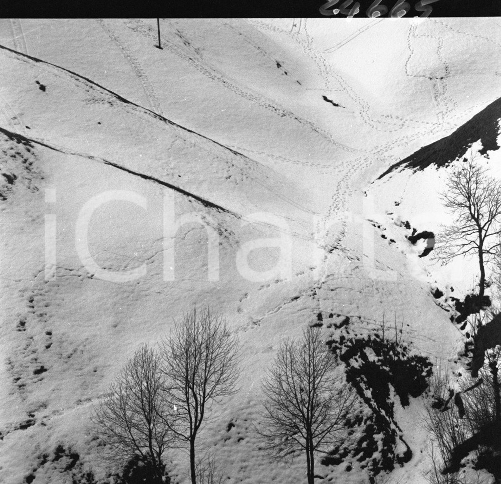1964 ODENO Val Sabbia (BS) orme di lupi? sulla neve (1) NEGATIVO ORIGINALE Negativo originale in bianco e nero su pellicola.  E' SEVERAMENTE VIETATA LA RIPRODUZIONE.TUTTI I DIRITTI SONO RISERVATI.ICharta mette in vendita, sul negozio eBay e in esclusiva sul sito "icharta" il proprio archivio composto da numerose diapositive e negativi fotografici d'epoca, tutti originali e autentici.Si tratta di uno sguardo inedito sull'attualità, la politica, la vita quotidiana, il gossip e la cultura, che fotografa il cambiamento della nazione (e non solo) tra il 1890 ed il 1990 circa. Un'occasione unica per il mercato del collezionismo, che vede finalmente disponibile un archivio eccezionale per vastità, tematiche e condizioni, in un settore (il negativo fotografico e la diapositiva) di assoluta novità e dalle interessanti prospettive di investimento. CONDIZIONI:FAIR/discretoFORMATO: cm 6 x 6 originale e autentica 1