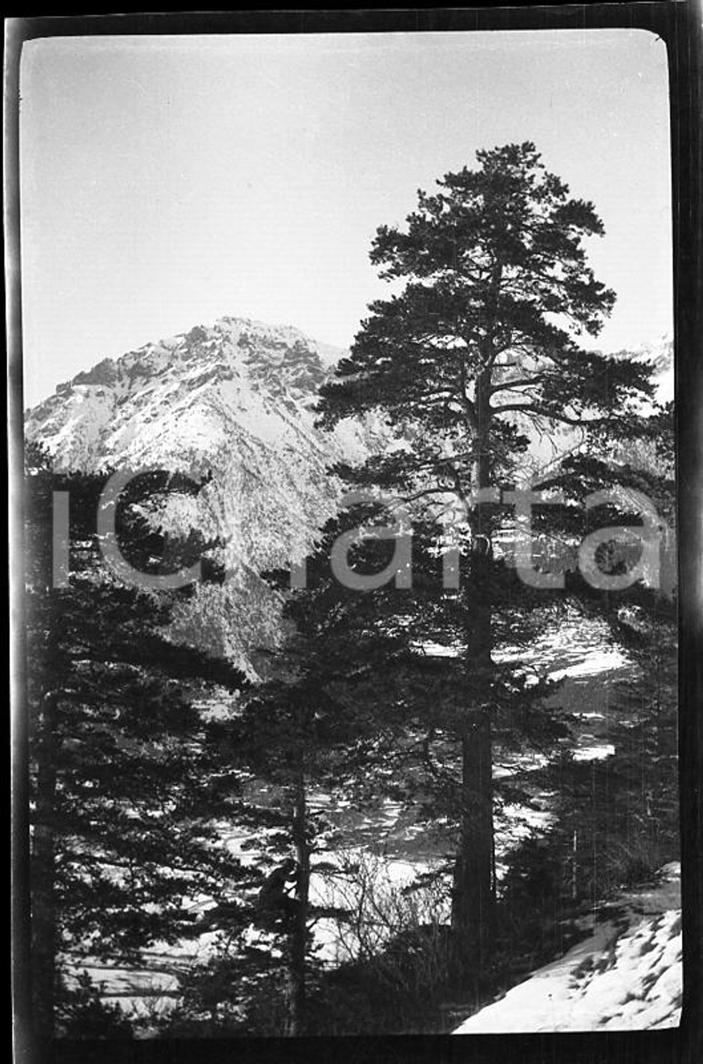 1928 SALBERTRAND Val di Susa Punta Pian Reale  NEGATIVO ORIGINALE Negativo originale in bianco e nero su pellicola.  E' SEVERAMENTE VIETATA LA RIPRODUZIONE.TUTTI I DIRITTI SONO RISERVATI.ICharta mette in vendita, sul negozio eBay e in esclusiva sul sito "icharta" il proprio archivio composto da numerose diapositive e negativi fotografici d'epoca, tutti originali e autentici.Si tratta di uno sguardo inedito sull'attualità, la politica, la vita quotidiana, il gossip e la cultura, che fotografa il cambiamento della nazione (e non solo) tra il 1890 ed il 1990 circa. Un'occasione unica per il mercato del collezionismo, che vede finalmente disponibile un archivio eccezionale per vastità, tematiche e condizioni, in un settore (il negativo fotografico e la diapositiva) di assoluta novità e dalle interessanti prospettive di investimento. FAIR/discreto  Formato: cm 6 x 4 originale e autentica 1