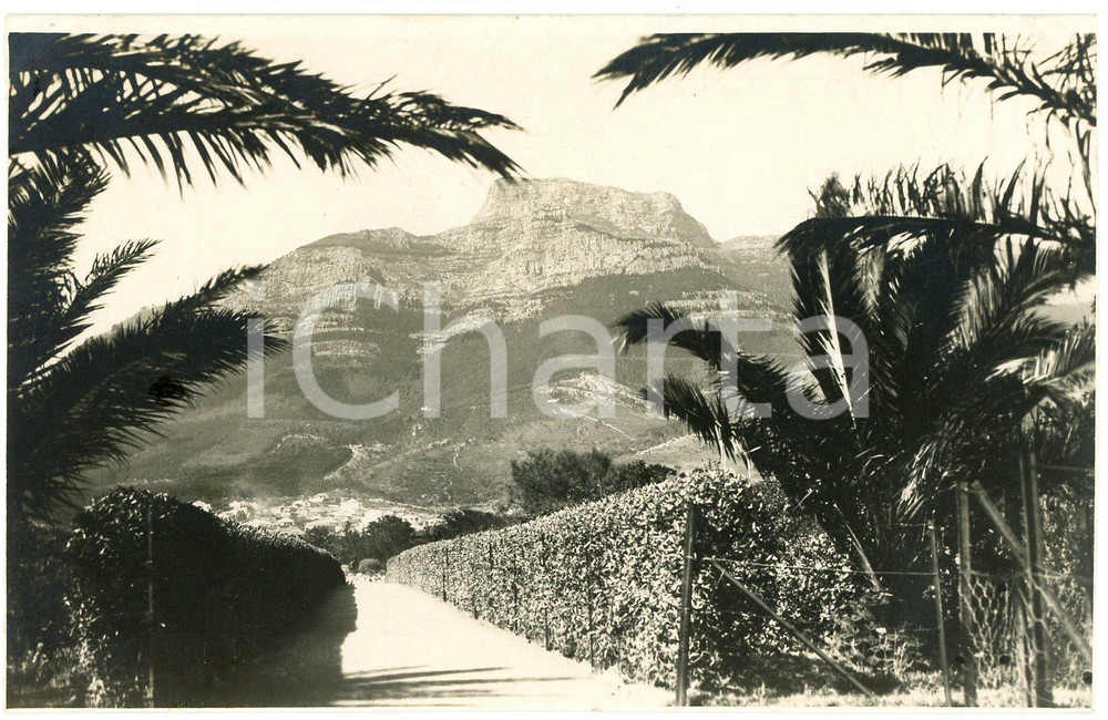 1930 ca CAPE TOWN SOUTH AFRICA Panorama *Photo Léopold GABRIEL 623 Fotografia originale d'epoca, in formato cartolina postale.FOTOGRAFO: L&eacute;opold Gabriel  GOOD/buono  Formato: 14x9 cm originale e autentica 1