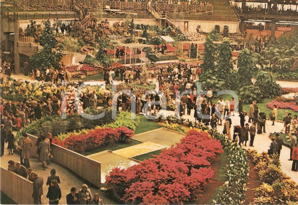 Cartolina originale da collezione 1981 GENOVA Fiera EUROFLORA Visitatori tra allestimenti floreali Cartolina 1