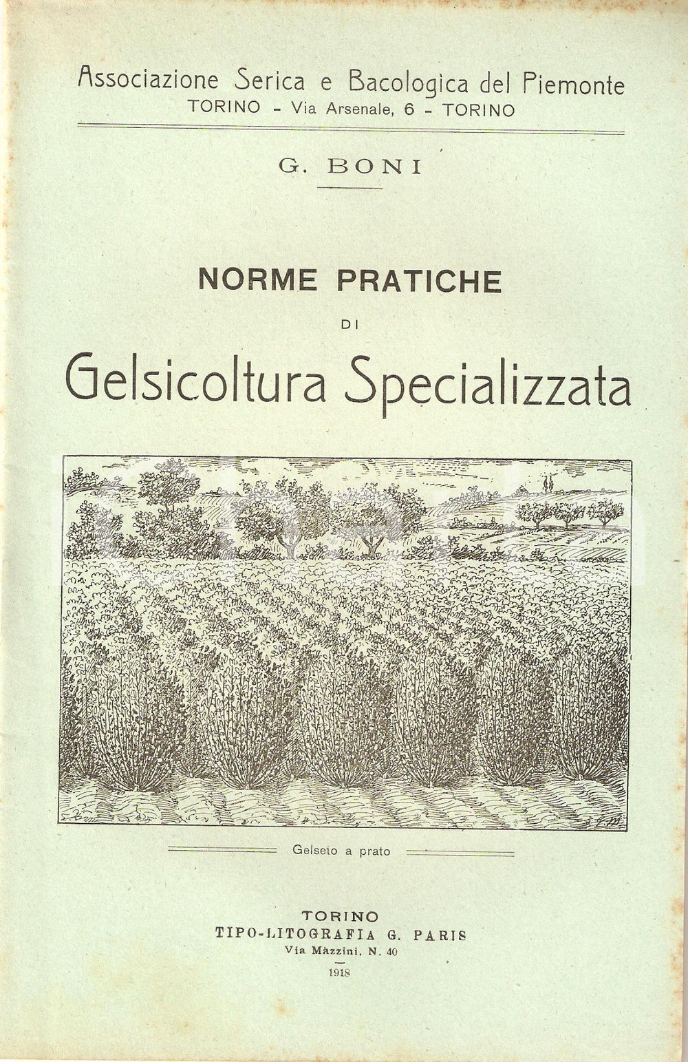Libro, pubblicazione d epoca 1918 Giglio BONI PRATICHE DI GELSICOLTURA Associazione Serica Bacologica 2 1