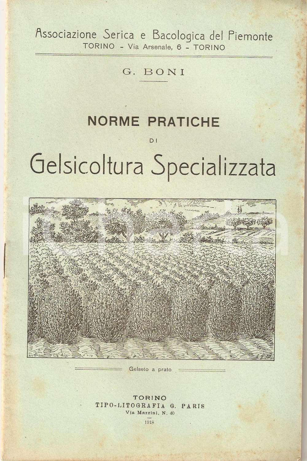 Libro, pubblicazione d epoca 1918 Giglio BONI PRATICHE DI GELSICOLTURA Associazione Serica Bacologica 3 1
