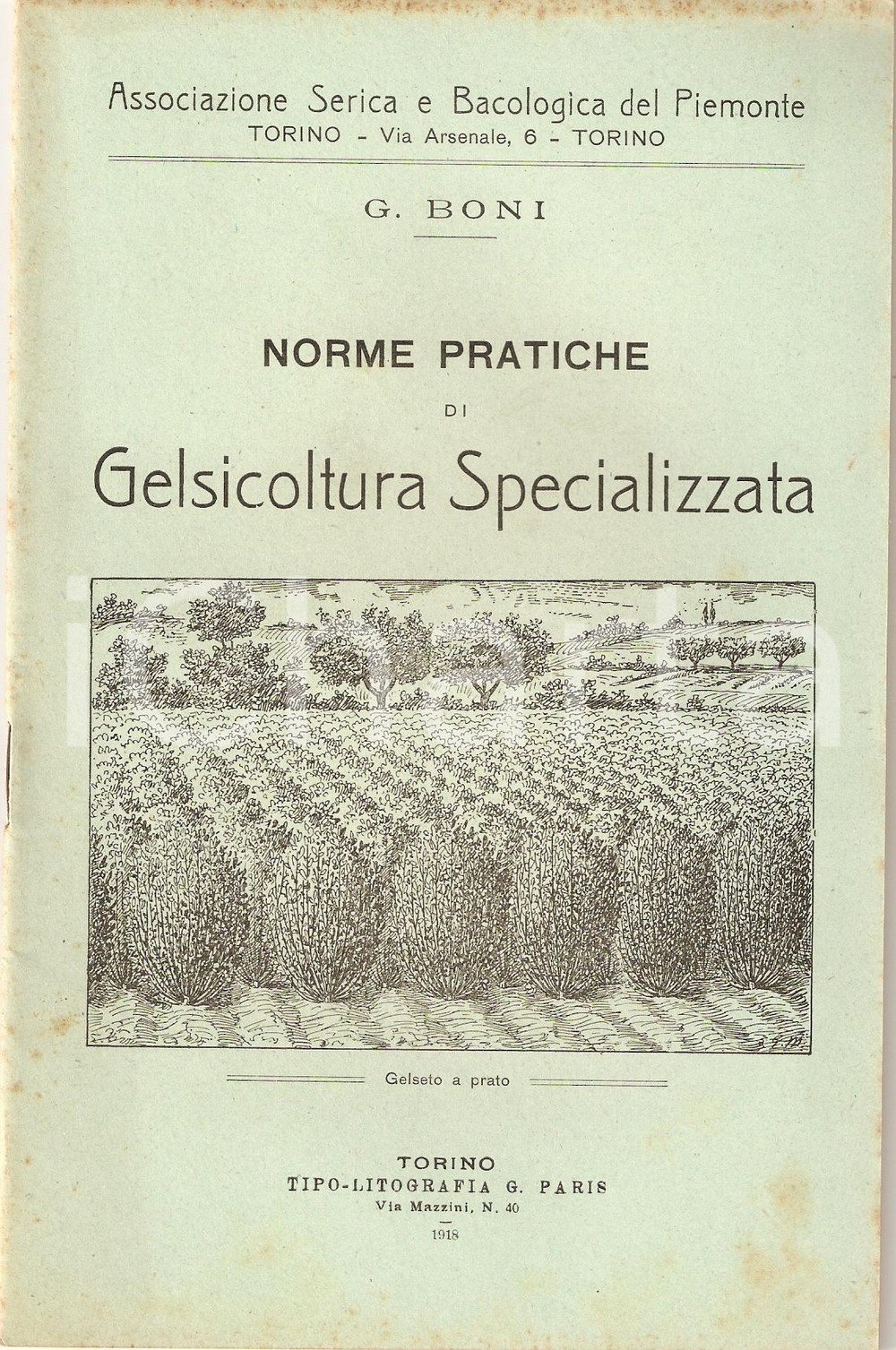 Libro, pubblicazione d epoca 1918 Giglio BONI PRATICHE DI GELSICOLTURA Associazione Serica Bacologica 4 1