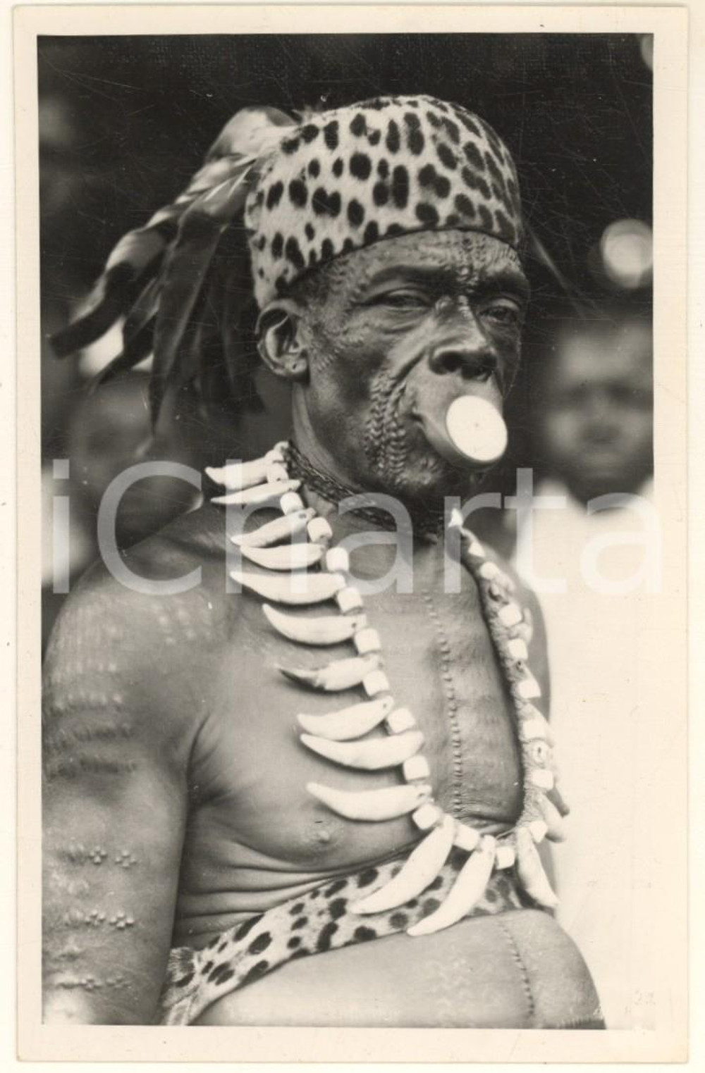 1930 C. ZAGOURSKI «L'Afrique qui disparaît» Type BANGALA Equateur ^Postcard 39  Fotocartolina postale d'epoca, appartenente alla serie «L'Afrique qui disparaît» del fotografo Casimir Zagourski (Léopoldville).N° 39, non viaggiata.  GOOD/buono  FORMATO: 9x14 cm originale e autentica 1