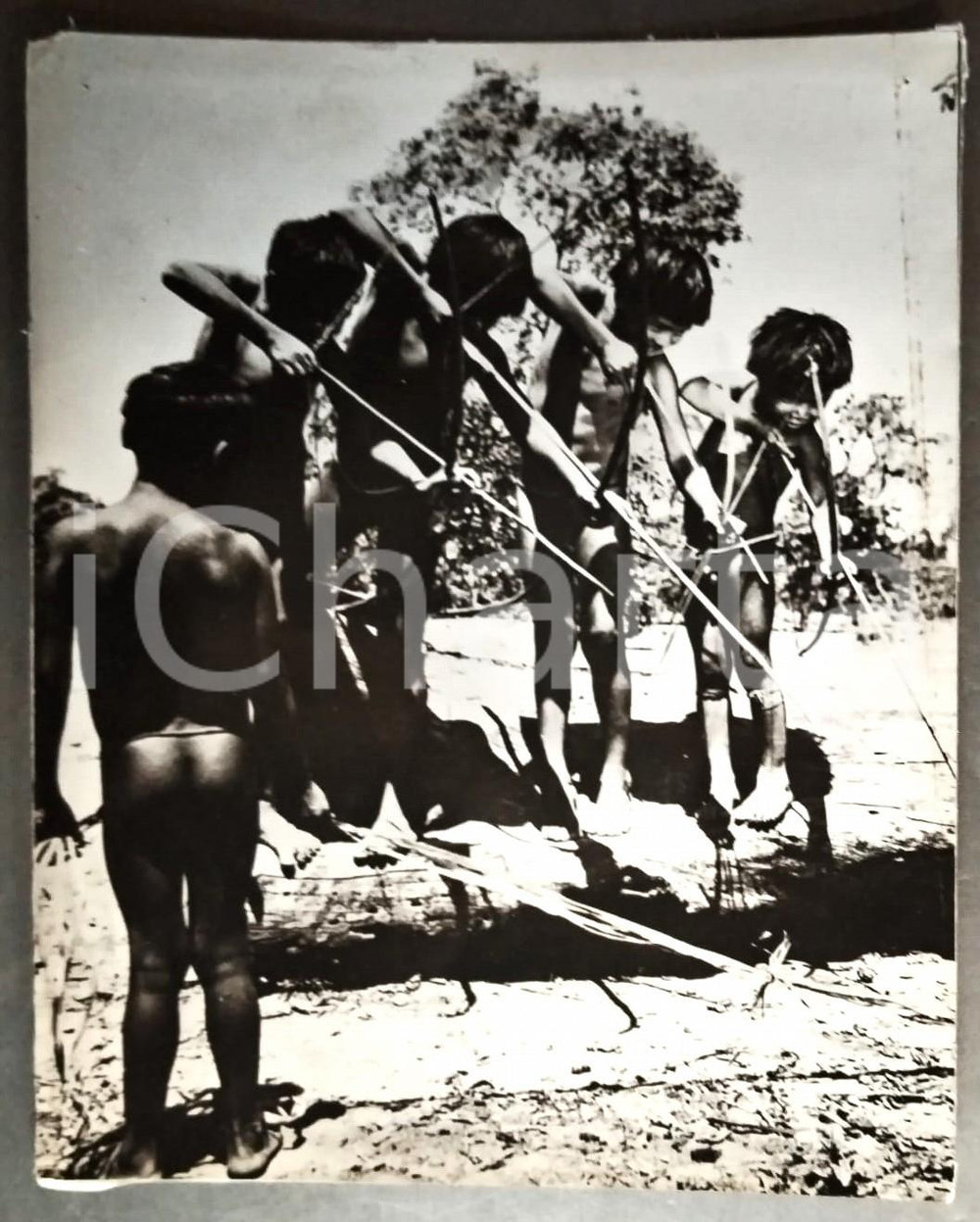 Materiale cinematografico d’epoca 1930 ca ETHNIC MOVIE Amazon nue Société belge distribution cinématographique 1