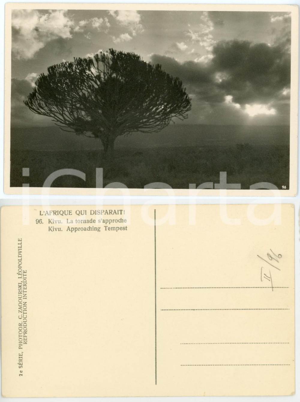 1930 ca C. ZAGOURSKI «L'Afrique qui disparaît» KIVU - Tornade s'approche - n°96  Fotocartolina postale d'epoca, appartenente alla 2^serie &laquo;L'Afrique qui dispara&icirc;t&raquo; del fotografo Casimir Zagourski (L&eacute;opoldville).N&deg; 96, non viaggiata.CONDIZIONI: GFORMATO: 14x9 cm     originale e autentica 1