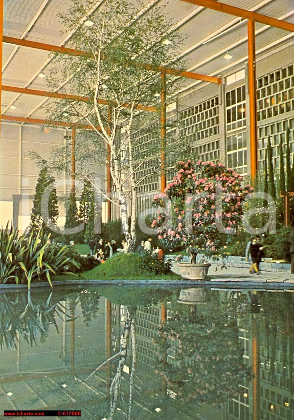 Cartolina originale da collezione 1976 GENOVA Fiera EUROFLORA Esposizione fiori Betulla ANIMATA Cartolina 2 1