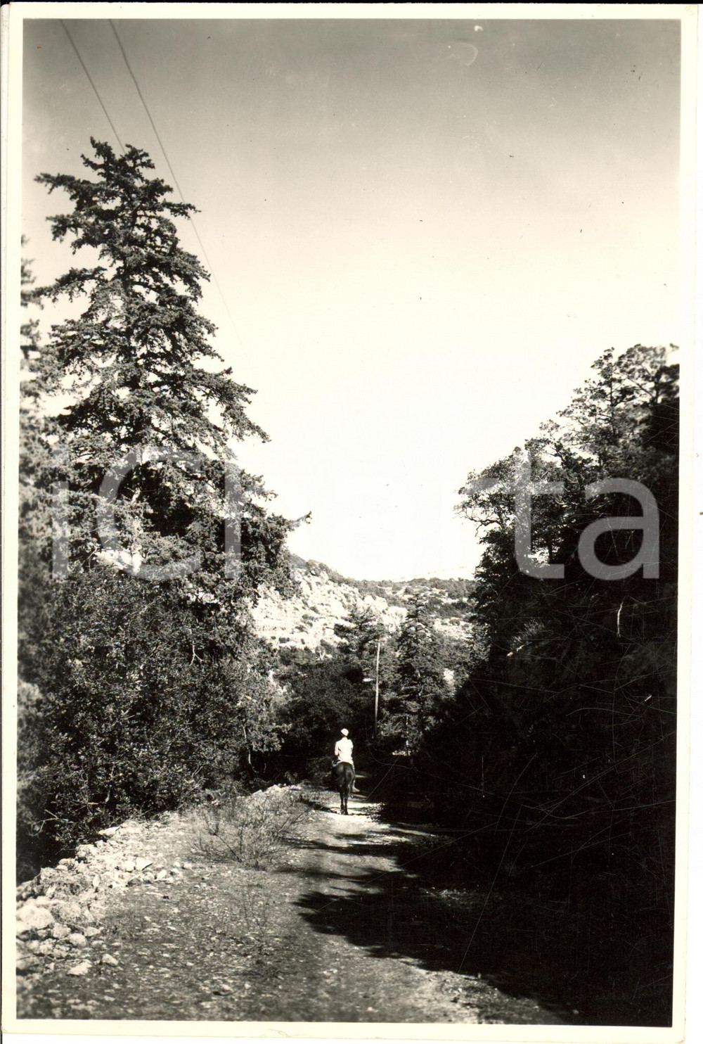 Fotografia d epoca originale 1935 ca UADI EL CUF LIBIA Passeggiata cavallo nel wadi Fotografia 1