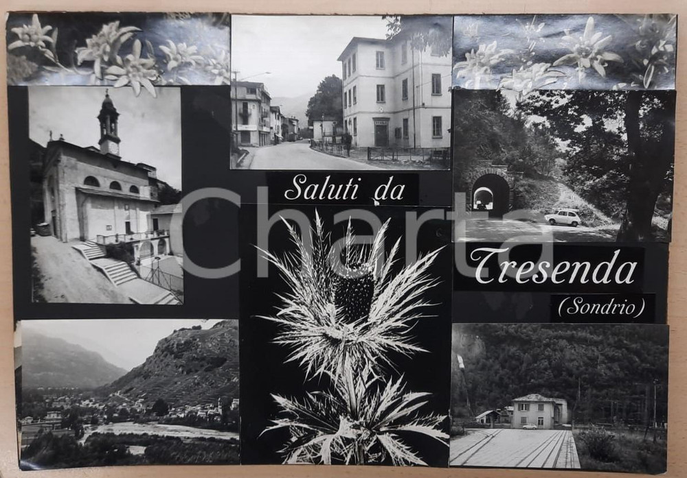 1955 ca TEGLIO Frazione TRESENDA Vedutine - Bozzetto preparatorio cartolina Bozzetto preparatorio per cartolina postale.Collage su cartoncino pressato.  FAIR/discreto Smussature agli angoli, residui di incollatura FORMATO: 45x32 cm originale e autentica 1
