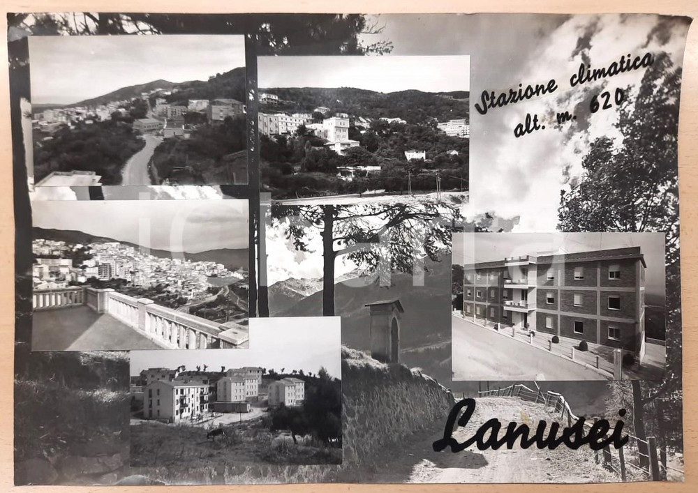 1955 ca LANUSEI Vedutine con asino - Bozzetto preparatorio cartolina Bozzetto preparatorio per cartolina postale.Collage su cartoncino flessibile.  FAIR/discreto Lievi smussature ai margini FORMATO: 47x33 cm originale e autentica 1