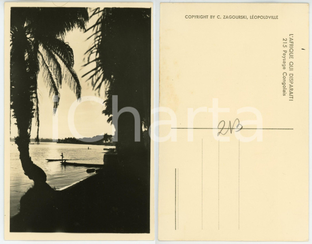 1930 ca ZAGOURSKI «L'Afrique qui disparaît» Paysage Congolais - Postcard 215  Fotocartolina postale d'epoca, appartenente alla serie «L'Afrique qui disparaît» del fotografo Casimir Zagourski (Léopoldville).N° 215, non viaggiata.  GOOD/buono minima sbrecciatura angolare FORMATO: 9x14 cm originale e autentica 1