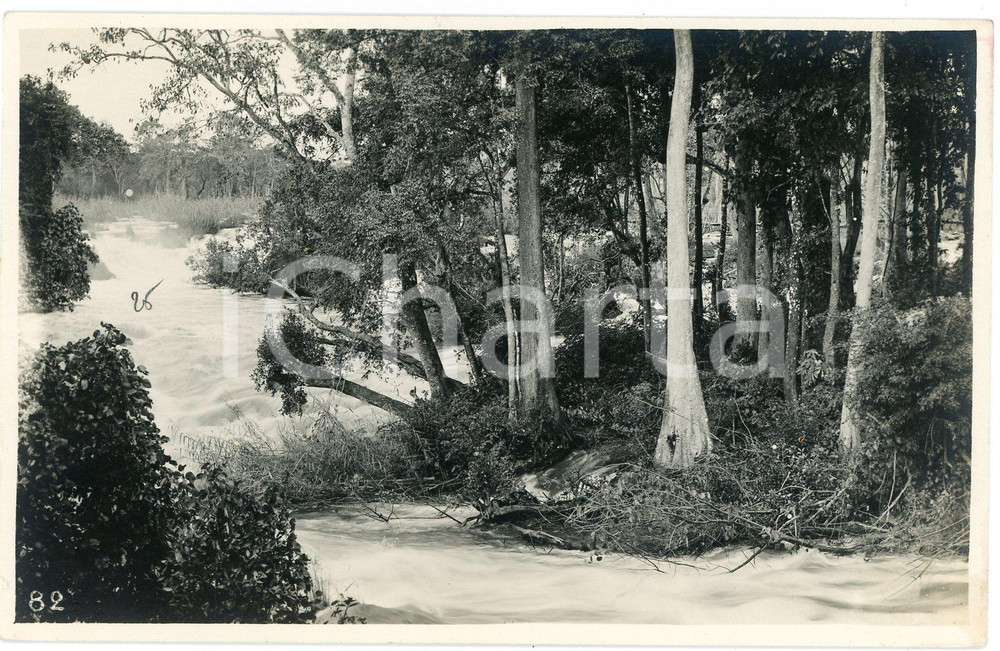 1930 ca CONGO BELGE - KATANGA Rivière LUFVIA - SOGEFOR Photo L. GABRIEL 82 Fotografia originale d'epoca, in formato cartolina postale.FOTOGRAFO: L&eacute;opold Gabriel - Panda - Katanga   GOOD/buono  FORMATO: 14x9 cm originale e autentica 1