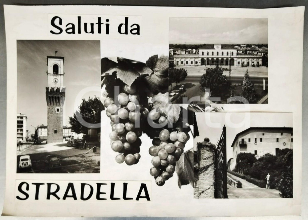 Stampa, bozzetto originale 1960 ca STRADELLA Vedutine con grappolo d uva  Bozzetto preparatorio cartolina 1