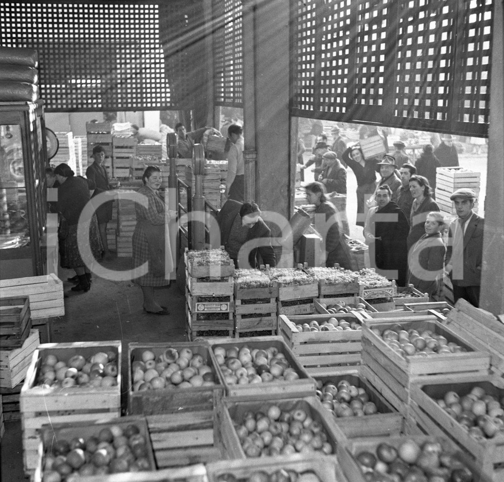 1950 BRESCIA Scene dal mercato ingrosso ortofrutticolo NEGATIVO ORIGINALE 8 Negativo originale in bianco e nero su pellicola.  E' SEVERAMENTE VIETATA LA RIPRODUZIONE.TUTTI I DIRITTI SONO RISERVATI.ICharta mette in vendita, sul negozio eBay e in esclusiva sul sito "icharta" il proprio archivio composto da numerose diapositive e negativi fotografici d'epoca, tutti originali e autentici.Si tratta di uno sguardo inedito sull'attualità, la politica, la vita quotidiana, il gossip e la cultura, che fotografa il cambiamento della nazione (e non solo) tra il 1890 ed il 1990 circa. Un'occasione unica per il mercato del collezionismo, che vede finalmente disponibile un archivio eccezionale per vastità, tematiche e condizioni, in un settore (il negativo fotografico e la diapositiva) di assoluta novità e dalle interessanti prospettive di investimento. CONDIZIONI:FAIR/discretoFORMATO: cm 9 x 6 originale e autentica 1
