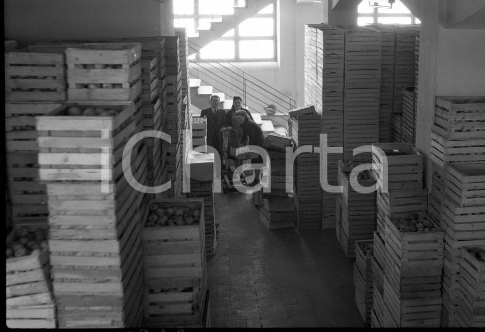 1950 BRESCIA Scene dal mercato ingrosso ortofrutticolo NEGATIVO ORIGINALE 19 Negativo originale in bianco e nero su pellicola.  E' SEVERAMENTE VIETATA LA RIPRODUZIONE.TUTTI I DIRITTI SONO RISERVATI.ICharta mette in vendita, sul negozio eBay e in esclusiva sul sito "icharta" il proprio archivio composto da numerose diapositive e negativi fotografici d'epoca, tutti originali e autentici.Si tratta di uno sguardo inedito sull'attualità, la politica, la vita quotidiana, il gossip e la cultura, che fotografa il cambiamento della nazione (e non solo) tra il 1890 ed il 1990 circa. Un'occasione unica per il mercato del collezionismo, che vede finalmente disponibile un archivio eccezionale per vastità, tematiche e condizioni, in un settore (il negativo fotografico e la diapositiva) di assoluta novità e dalle interessanti prospettive di investimento. CONDIZIONI:FAIR/discretoFORMATO: cm 9 x 6 originale e autentica 1