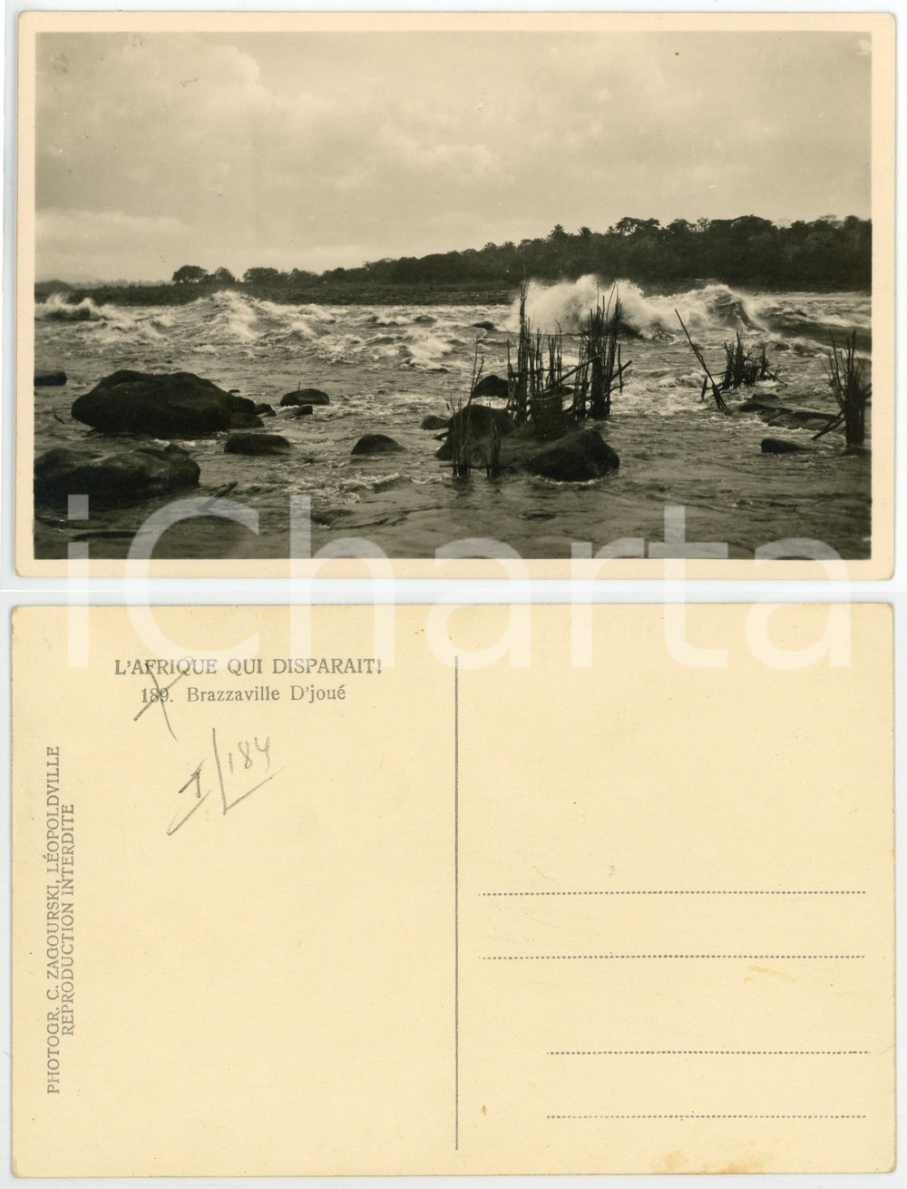 1930 ca ZAGOURSKI «L'Afrique qui disparaît» BRAZZAVILLE D'joué Postcard 189  Fotocartolina postale d'epoca, appartenente alla serie &laquo;L'Afrique qui dispara&icirc;t&raquo; del fotografo Casimir Zagourski (L&eacute;opoldville).N&deg;187, non viaggiata.CONDIZIONI: GFORMATO: 14x9 cm     originale e autentica 1