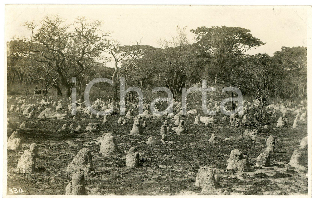 1930 ca CONGO BELGE - KATANGA - Termitières ^Photo Léopold GABRIEL 330 Fotografia originale d'epoca.FOTOGRAFO: L&eacute;opold Gabriel - Panda - Katanga   GOOD/buono  FORMATO: 14x9 cm originale e autentica 1