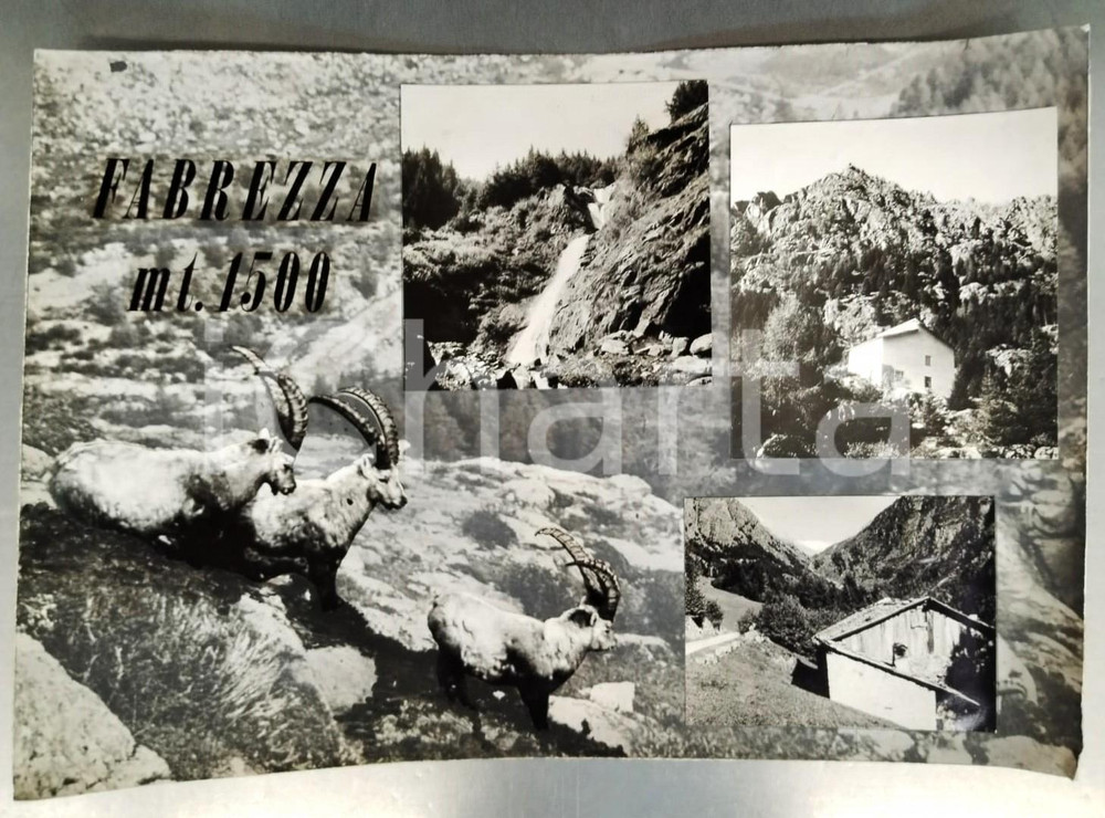 Stampa, bozzetto originale 1955 ca SAVIORE DELL ADAMELLO Loc. FABREZZA Bozzetto preparatorio cartolina 1