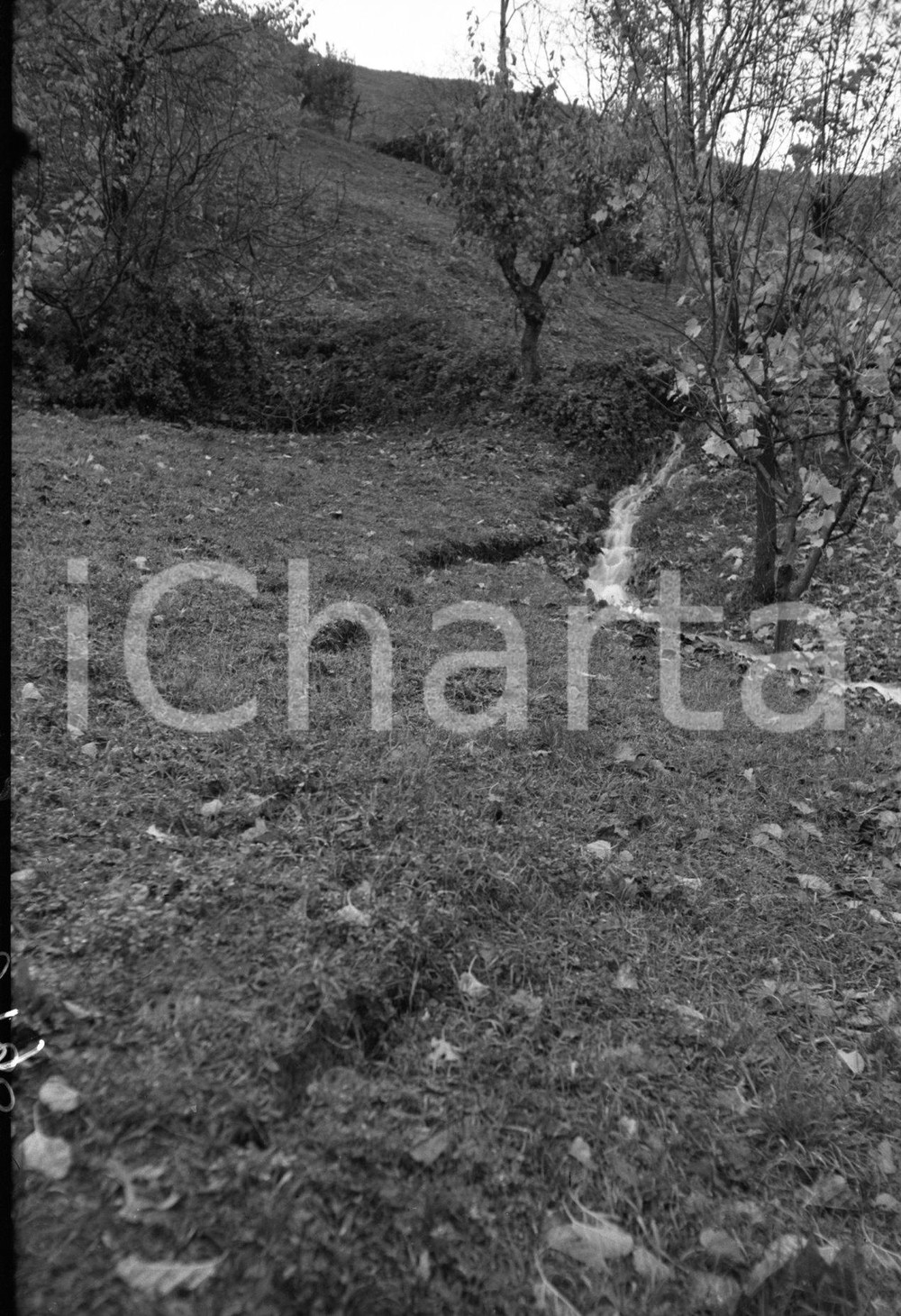 BIONE Val Sabbia (BS) La frana di novembre 1951 NEGATIVO ORIGINALE Negativo originale in bianco e nero su pellicola.  E' SEVERAMENTE VIETATA LA RIPRODUZIONE.TUTTI I DIRITTI SONO RISERVATI.ICharta mette in vendita, sul negozio eBay e in esclusiva sul sito "icharta" il proprio archivio composto da numerose diapositive e negativi fotografici d'epoca, tutti originali e autentici.Si tratta di uno sguardo inedito sull'attualità, la politica, la vita quotidiana, il gossip e la cultura, che fotografa il cambiamento della nazione (e non solo) tra il 1890 ed il 1990 circa. Un'occasione unica per il mercato del collezionismo, che vede finalmente disponibile un archivio eccezionale per vastità, tematiche e condizioni, in un settore (il negativo fotografico e la diapositiva) di assoluta novità e dalle interessanti prospettive di investimento. CONDIZIONI:FAIR/discretoFORMATO: cm 6 x 9 originale e autentica 1