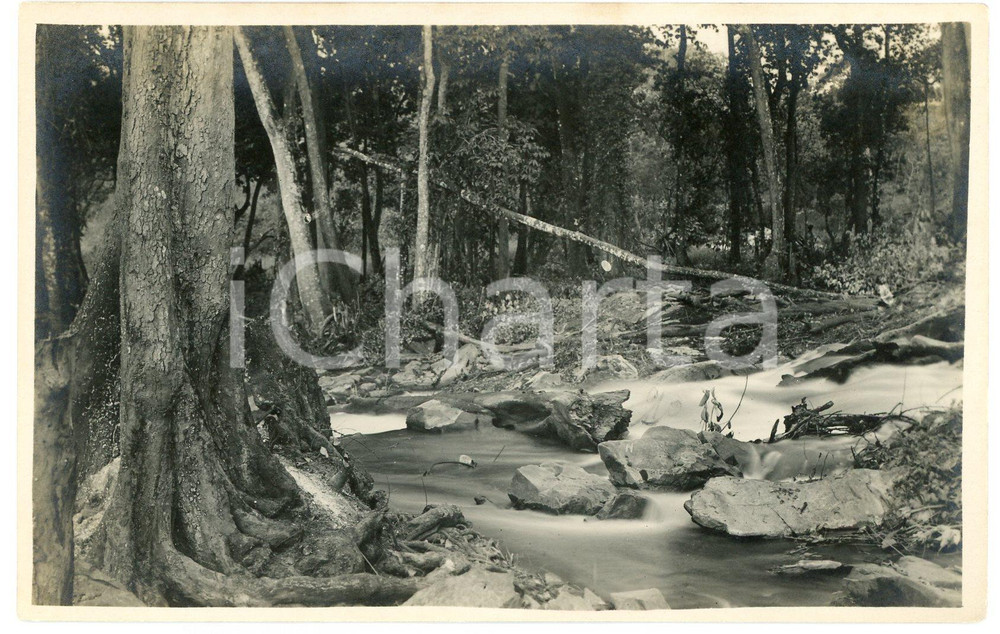 1930 ca CONGO BELGE - Rivière LUFIVA - Photo Léopold GABRIEL n.8 Fotografia originale d'epoca, in formato cartolina postale.FOTOGRAFO: L&eacute;opold Gabriel - Panda - Katanga   GOOD/buono lievi aloni al verso FORMATO: 14x9 cm originale e autentica 1