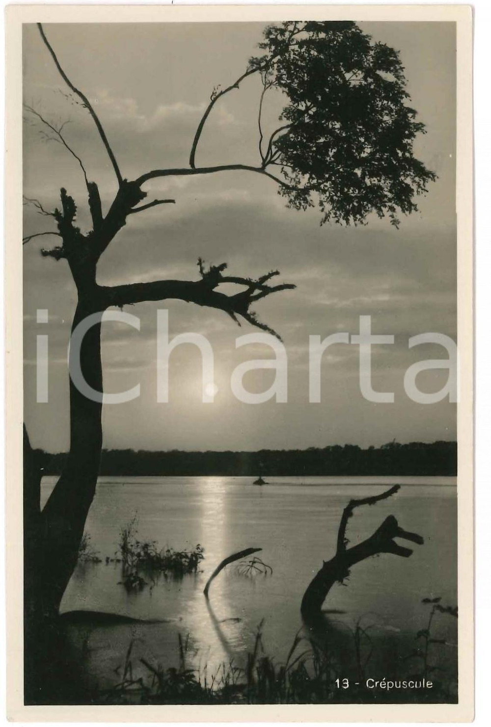 1930 ZAGOURSKI «L'Afrique qui disparaît» Paysage congolais - Crépuscule 216  Fotocartolina postale d'epoca, appartenente alla serie &laquo;L'Afrique qui dispara&icirc;t&raquo; del fotografo Casimir Zagourski (L&eacute;opoldville).N&deg;216. non viaggiata.CONDIZIONI: FAIR FORMATO: 14x9 cm     originale e autentica 1