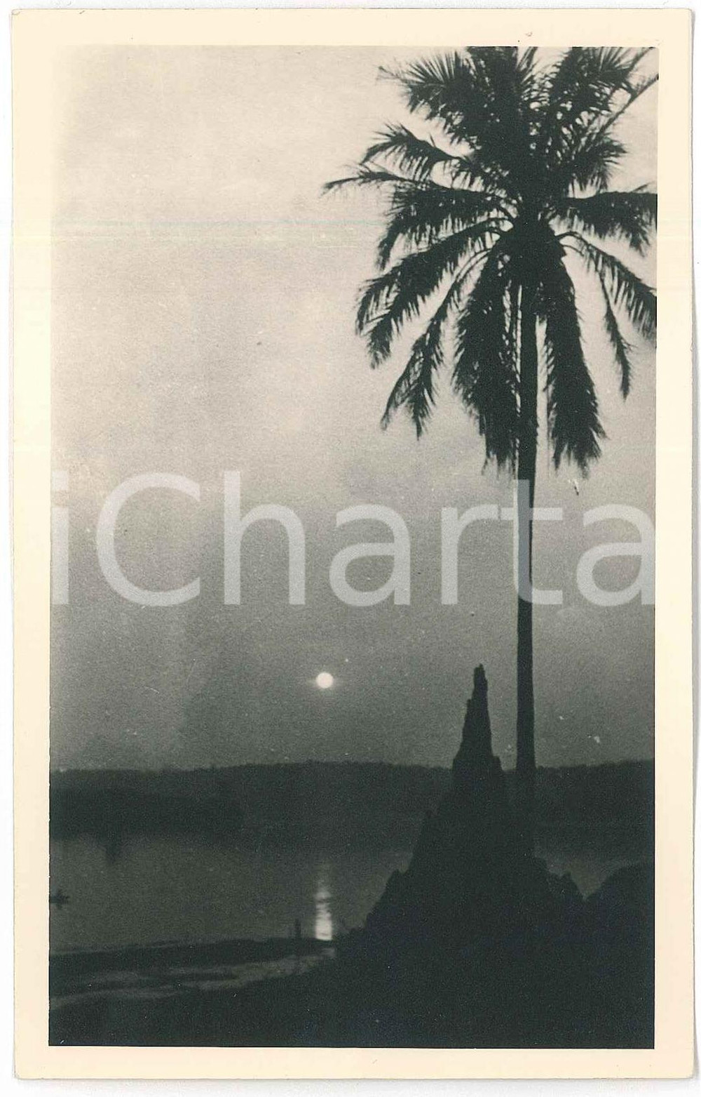 1930 C. ZAGOURSKI «L'Afrique qui disparaît» Paysage congolais - Postcard n°213  Fotocartolina postale d'epoca, appartenente alla serie &laquo;L'Afrique qui dispara&icirc;t&raquo; del fotografo Casimir Zagourski (L&eacute;opoldville).N&deg;213, non viaggiata.CONDIZIONI: F (lieve smussatura all'angolo superiore sinistro)FORMATO: 14x9 cm     originale e autentica 1