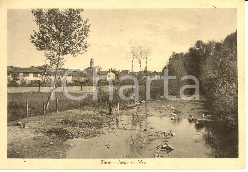 Cartolina originale da collezione 1939 SUNO (NO) Veduta panoramica lungo la Mea *Cartolina FG NV (1) 1